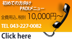 padiダイビングスクール 千葉 ダイビング