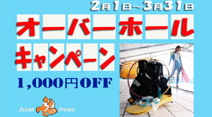 千葉 ダイビング ダイビングウェットスーツキャンペーン