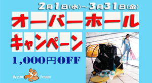 千葉 ダイビング ダイビングウェットスーツキャンペーン