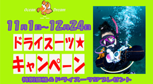 千葉 ダイビング ダイビングウェットスーツキャンペーン