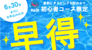 千葉 ダイビング ダイビングウェットスーツキャンペーン