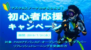 千葉 ダイビング ダイビングウェットスーツキャンペーン