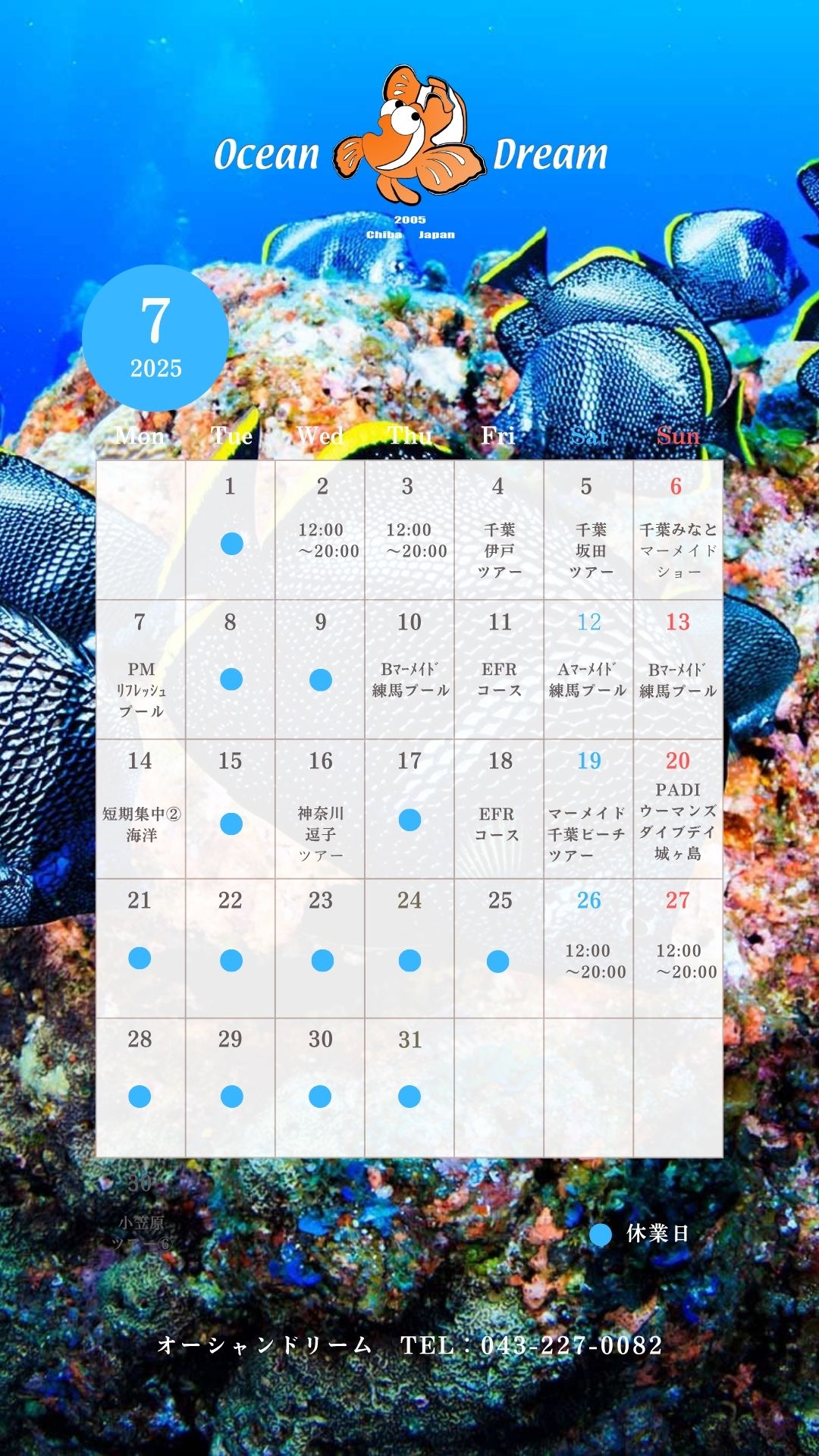 千葉　ダイビング