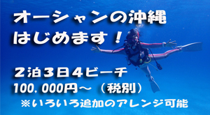 千葉 ダイビング
